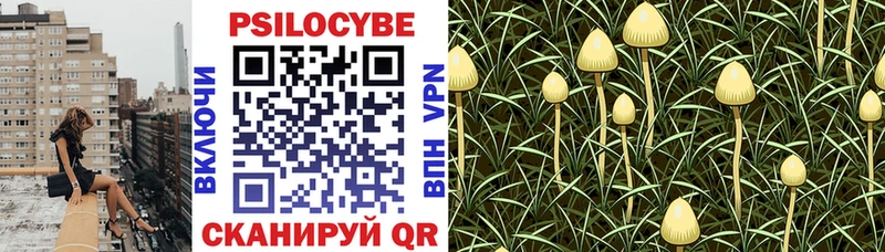Галлюциногенные грибы GOLDEN TEACHER  Светлоград 